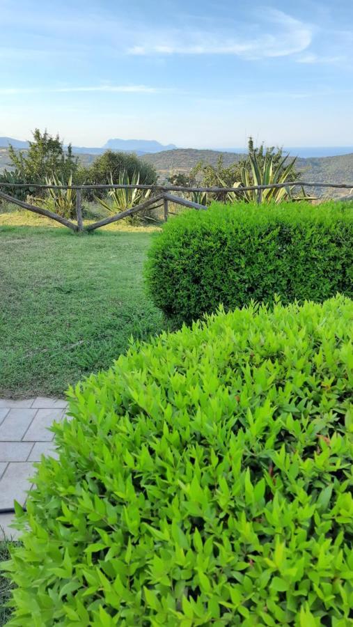 Agriturismo Irghitula Посада Экстерьер фото