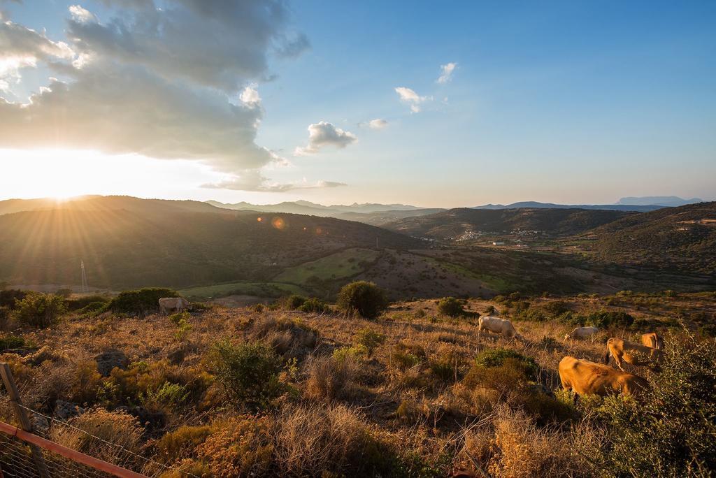 Agriturismo Irghitula Посада Экстерьер фото